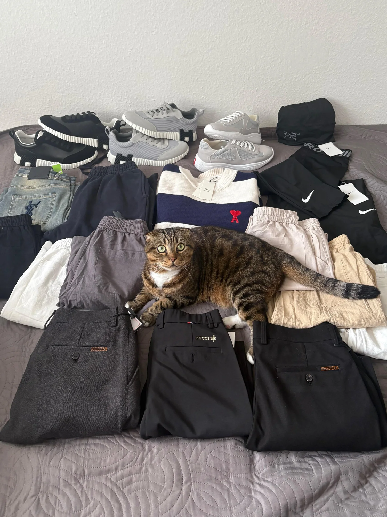 The complete order on a bed, with a cat in the middle.